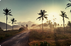 Country Image