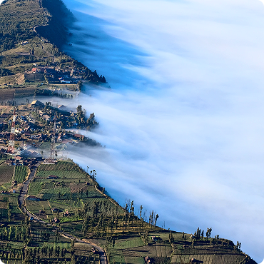 Fog Image