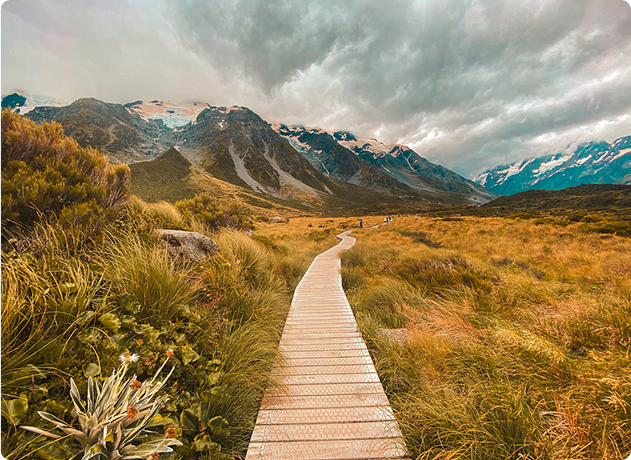 The walkways